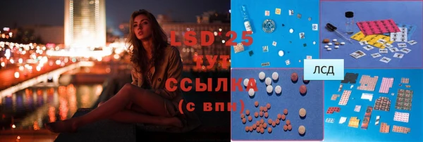 дживик Верхний Тагил
