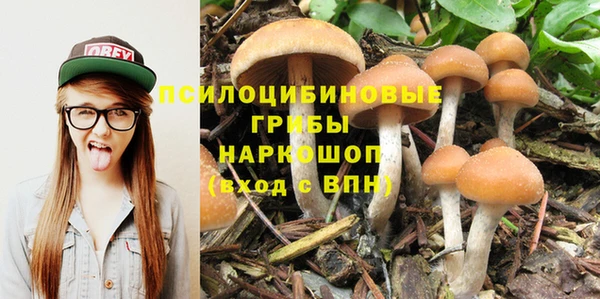 apvp Бородино