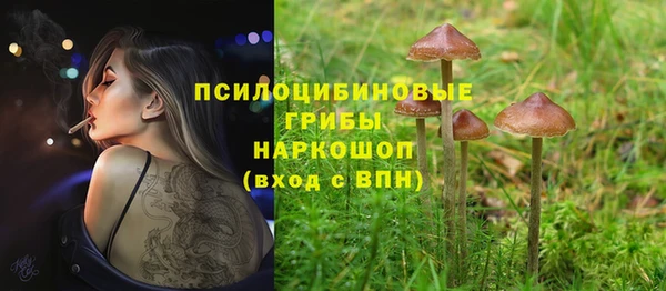 стаф Бугульма