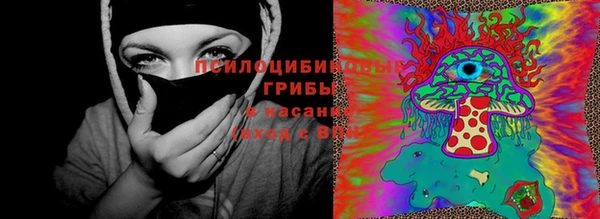 дживик Верхний Тагил
