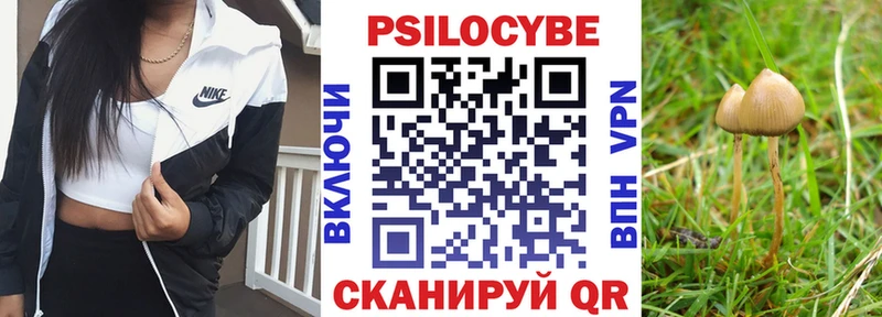 Псилоцибиновые грибы прущие грибы что такое Кашира